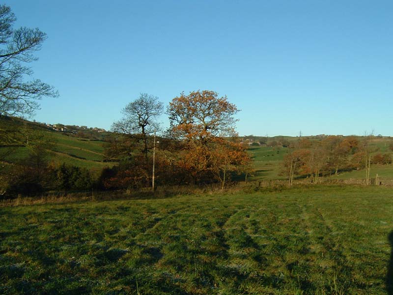 DSCF0114