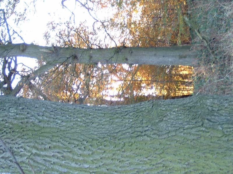 DSCF0117