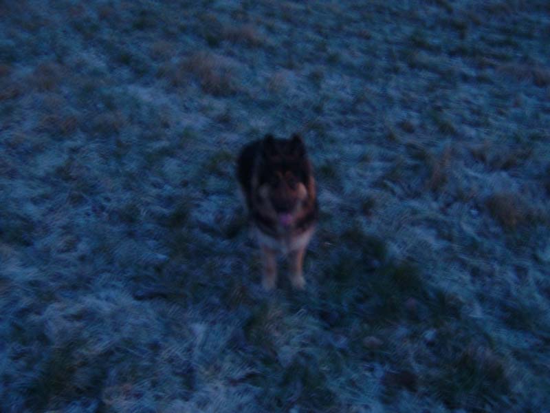 frosty_sas2