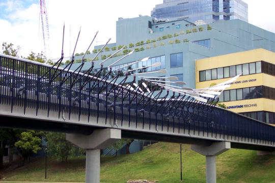 ParamattaOarsBridge