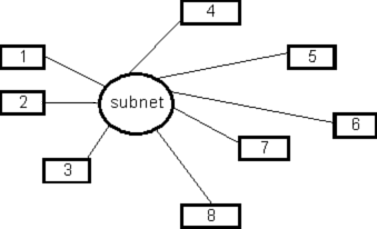 A more complex subnet